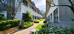 Greenwood Mews (D11), Terrace #438622771